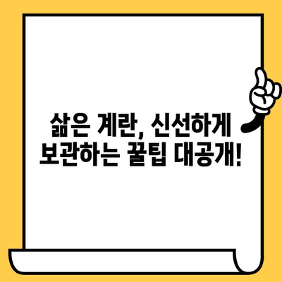 삶은 계란, 유통기한과 칼로리 완벽 가이드 | 삶은 계란 보관, 칼로리 계산, 건강 정보