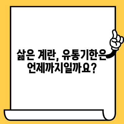 삶은 계란, 유통기한과 칼로리 완벽 가이드 | 삶은 계란 보관, 칼로리 계산, 건강 정보