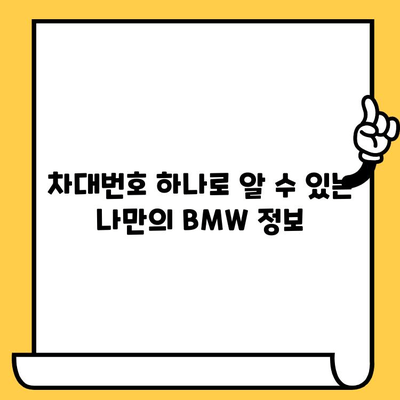 BMW 차대번호로 풀어보는 자동차의 비밀| 숨겨진 역사와 제조 정보 | 차대번호 해독, BMW 역사, 자동차 정보