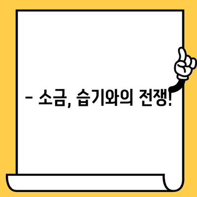 소금 유통기한, 정말 무한대로 보관 가능할까요? | 소금 보관법, 유통기한, 팁