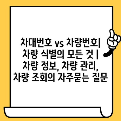 차대번호 vs 차량번호| 차량 식별의 모든 것 | 차량 정보, 차량 관리, 차량 조회