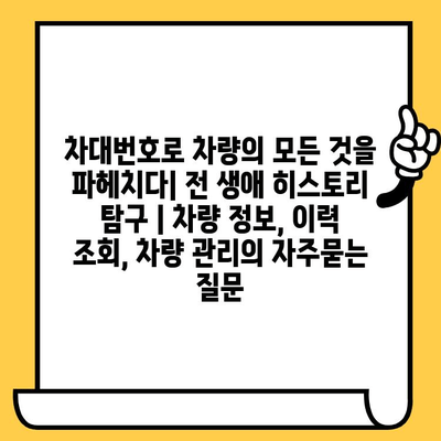 차대번호로 차량의 모든 것을 파헤치다| 전 생애 히스토리 탐구 | 차량 정보, 이력 조회, 차량 관리