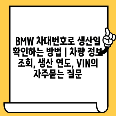 BMW 차대번호로 생산일 확인하는 방법 | 차량 정보 조회, 생산 연도, VIN