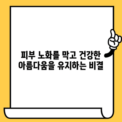 피부 건강 지키는 뷰티 항산화 앰플 추천| 5가지 핵심 기능과 베스트 제품 | 피부 노화 방지, 맑은 피부, 탄력 개선