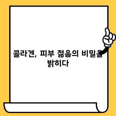 콜라겐이 피부 건강을 지키는 비밀| 효능, 효과, 섭취 방법 총정리 | 피부 탄력, 주름 개선, 콜라겐 섭취