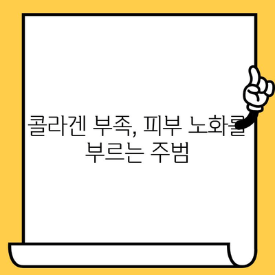 콜라겐이 피부 건강을 지키는 비밀| 효능, 효과, 섭취 방법 총정리 | 피부 탄력, 주름 개선, 콜라겐 섭취