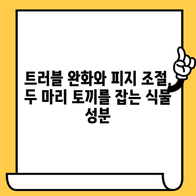 지성 피부를 위한 식물성 해결책| 피지 조절 효과를 높이는 5가지 성분 | 지성 피부 관리, 피지 분비, 천연 화장품, 트러블 완화