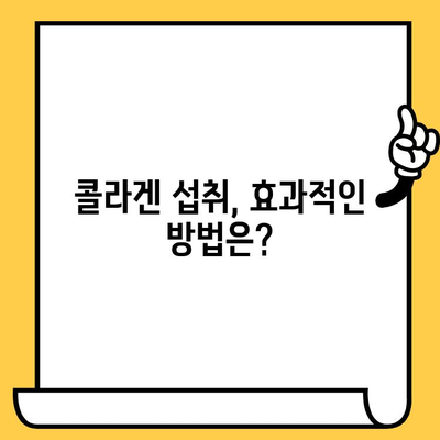 먹는 콜라겐, 피부 건강 개선 효과 제대로 알고 현명하게 섭취하기 | 콜라겐 효능, 콜라겐 섭취, 피부 관리, 건강 정보