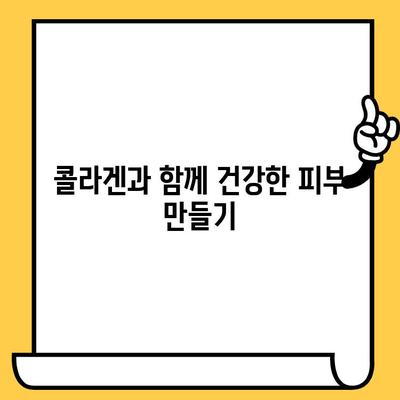 먹는 콜라겐, 피부 건강 개선 효과 제대로 알고 현명하게 섭취하기 | 콜라겐 효능, 콜라겐 섭취, 피부 관리, 건강 정보