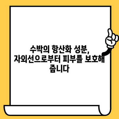 수박이 선사하는 피부 건강의 비밀| 놀라운 효능 5가지 | 수박, 피부, 건강, 미용, 효능