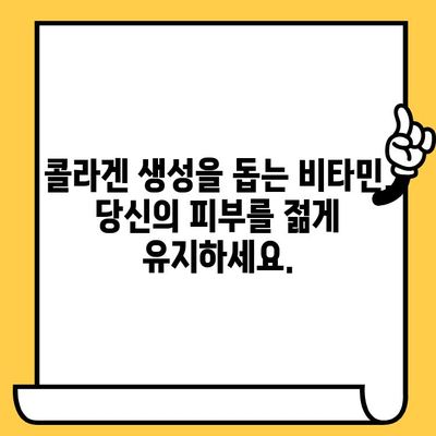 콜라겐 합성을 위한 비타민| 피부 탄력과 건강을 위한 최고의 선택 | 콜라겐, 피부, 건강, 비타민, 영양