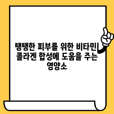 콜라겐 합성을 위한 비타민| 피부 탄력과 건강을 위한 최고의 선택 | 콜라겐, 피부, 건강, 비타민, 영양