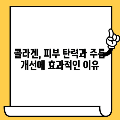 콜라겐 섭취, 피부 건강 개선의 지름길| 효과적인 섭취 방법과 추천 제품 | 콜라겐, 피부 탄력, 주름 개선, 건강 식품