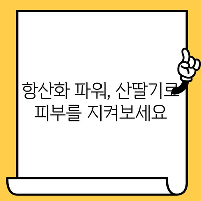 산딸기의 놀라운 효능| 피부 건강을 위한 영양소 파헤치기 | 산딸기, 피부 미용, 항산화, 비타민C