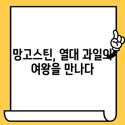 망고스틴의 놀라운 효능| 피부 건강부터 항산화까지 | 망고스틴 효능, 망고스틴 성분, 열대 과일, 건강 팁