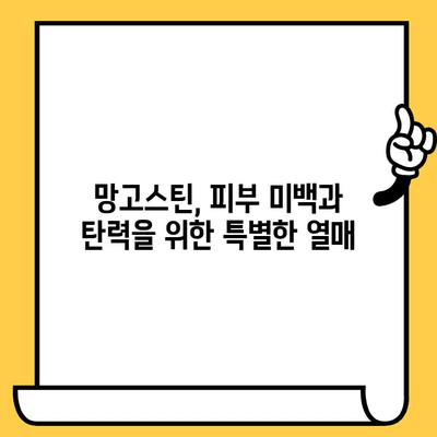 망고스틴의 피부 미용 효능| 핵심 성분과 놀라운 효과 | 망고스틴, 피부 건강, 항산화, 콜라겐, 미백, 주름 개선