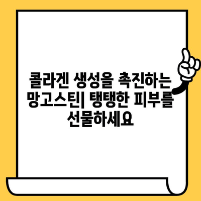 망고스틴의 피부 미용 효능| 핵심 성분과 놀라운 효과 | 망고스틴, 피부 건강, 항산화, 콜라겐, 미백, 주름 개선