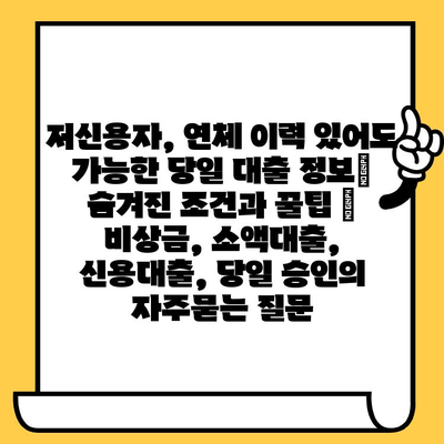 저신용자, 연체 이력 있어도 가능한 당일 대출 정보| 숨겨진 조건과 꿀팁 | 비상금, 소액대출, 신용대출, 당일 승인