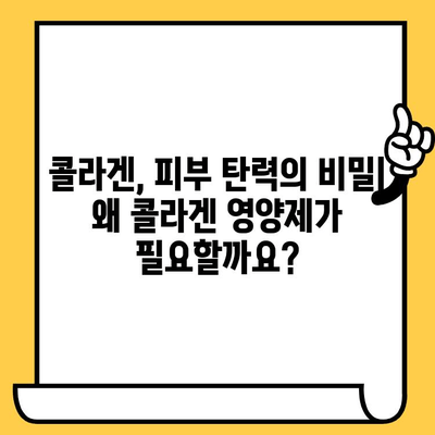 탱탱한 피부를 위한 선택! 콜라겐 영양제 추천 가이드 | 피부 건강, 콜라겐, 영양제, 추천