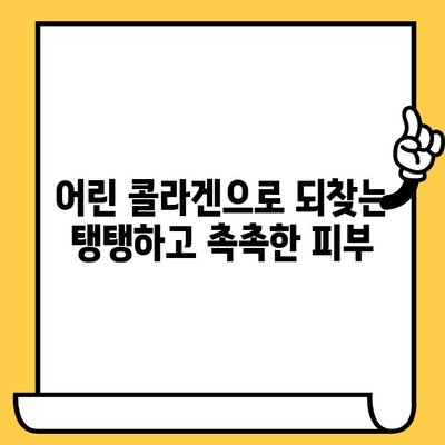 어린 콜라겐| 피부 건강을 위한 선택 | 탱탱하고 촉촉한 피부, 어떻게 유지할까요?