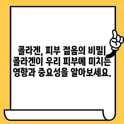 어린 콜라겐| 피부 건강을 위한 선택 | 탱탱하고 촉촉한 피부, 어떻게 유지할까요?