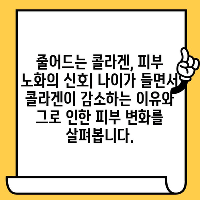 어린 콜라겐| 피부 건강을 위한 선택 | 탱탱하고 촉촉한 피부, 어떻게 유지할까요?