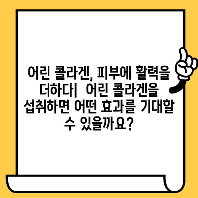 어린 콜라겐| 피부 건강을 위한 선택 | 탱탱하고 촉촉한 피부, 어떻게 유지할까요?