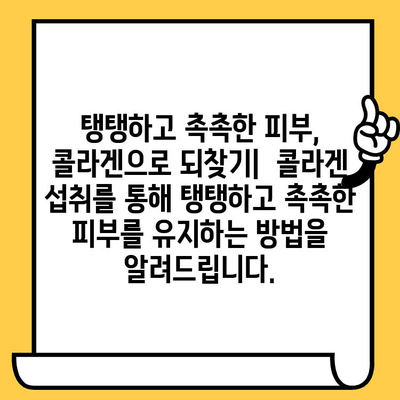 어린 콜라겐| 피부 건강을 위한 선택 | 탱탱하고 촉촉한 피부, 어떻게 유지할까요?