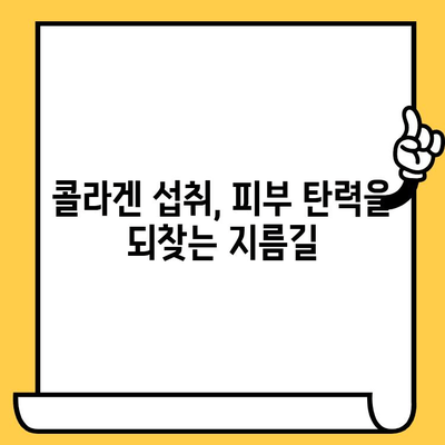 콜라겐 효과 & 피부 건강 지키는 방법| 탄력, 주름, 보습 개선 | 콜라겐 섭취, 콜라겐 관리, 피부 노화 방지