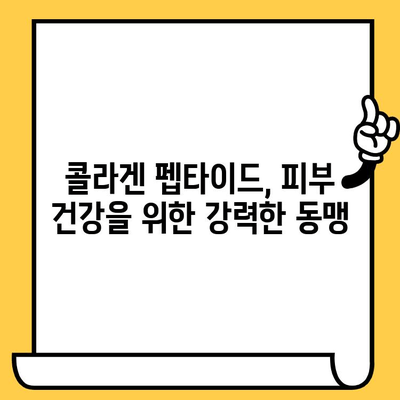 저분자 콜라겐 펩타이드| 피부 건강을 위한 강력한 동맹 | 콜라겐, 펩타이드, 피부 탄력, 주름 개선, 섭취 방법, 효능, 추천