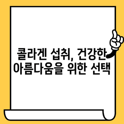 콜라겐 추천| 피부 건강 지키는 방법과 효과 | 콜라겐 종류, 섭취 방법, 효능 비교