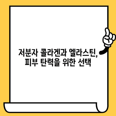 저분자 콜라겐 & 엘라스틴 콜라겐| 피부 탄력 & 주름 개선 효과 비교 분석 | 콜라겐 종류, 피부 건강, 뷰티 팁
