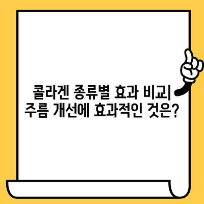저분자 콜라겐 & 엘라스틴 콜라겐| 피부 탄력 & 주름 개선 효과 비교 분석 | 콜라겐 종류, 피부 건강, 뷰티 팁