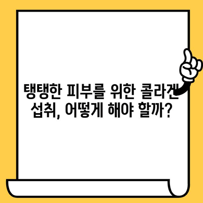 저분자 콜라겐 & 엘라스틴 콜라겐| 피부 탄력 & 주름 개선 효과 비교 분석 | 콜라겐 종류, 피부 건강, 뷰티 팁
