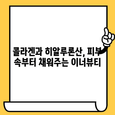 이너뷰티 추천| 피부 건강기능식품으로 맑고 건강한 피부 만들기 | 이너뷰티, 피부 건강, 건강기능식품, 콜라겐, 히알루론산