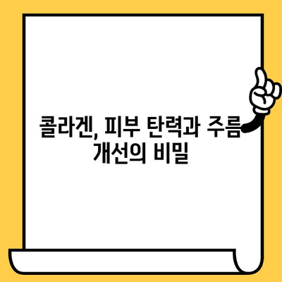 저분자 콜라겐| 피부 건강을 위한 섭취 가이드 | 콜라겐, 피부 탄력, 주름 개선, 섭취 시간, 효과