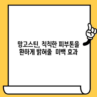 망고스틴의 피부 건강 마법| 놀라운 효능과 함유 성분 | 망고스틴, 피부 미용, 항산화, 비타민