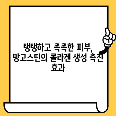 망고스틴의 피부 건강 마법| 놀라운 효능과 함유 성분 | 망고스틴, 피부 미용, 항산화, 비타민