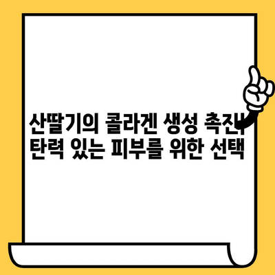 산딸기의 피부 미용 효능| 맑고 건강한 피부를 위한 7가지 이유 | 피부 건강, 항산화, 미백 효과, 콜라겐 생성