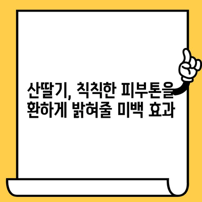 산딸기의 피부 미용 효능| 맑고 건강한 피부를 위한 7가지 이유 | 피부 건강, 항산화, 미백 효과, 콜라겐 생성