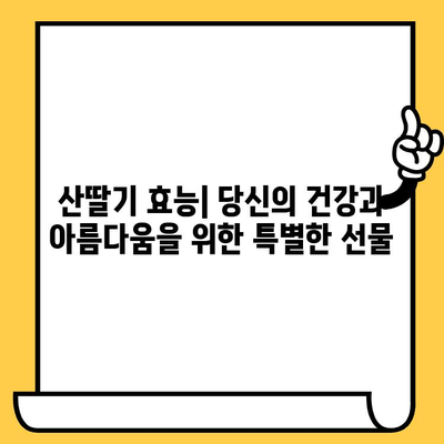 산딸기 효능| 영양소 파워와 피부 미용 효과 | 건강, 비타민C, 항산화, 콜라겐, 피부 탄력