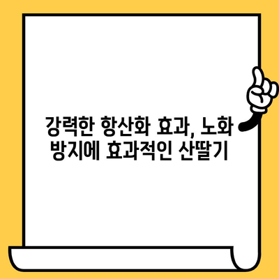 산딸기 효능| 영양소 파워와 피부 미용 효과 | 건강, 비타민C, 항산화, 콜라겐, 피부 탄력