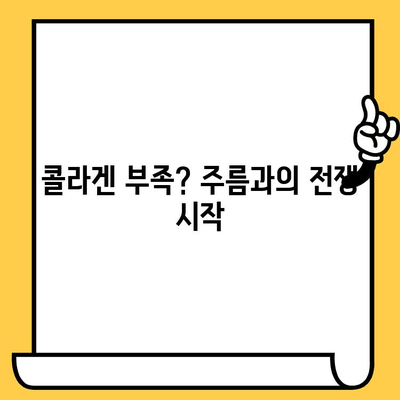 젊은 콜라겐, 피부 건강을 위한 핵심 열쇠 | 콜라겐 효능, 피부 탄력, 주름 개선, 젊은 피부 유지