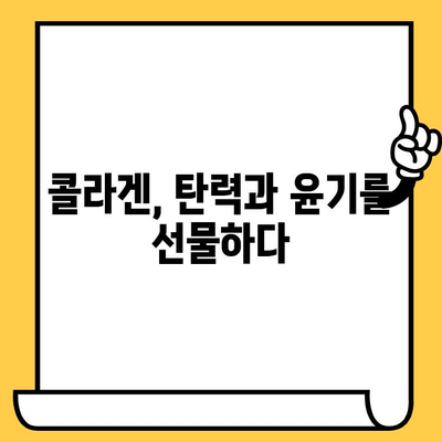 젊은 콜라겐, 피부 건강을 위한 핵심 열쇠 | 콜라겐 효능, 피부 탄력, 주름 개선, 젊은 피부 유지