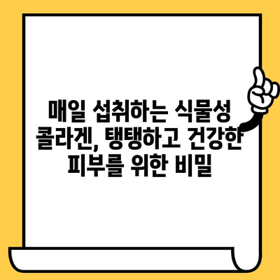 식물성 비건 콜라겐| 매일 피부에 영양을 채워주는 비밀 | 피부 건강, 콜라겐 보충, 비건 뷰티