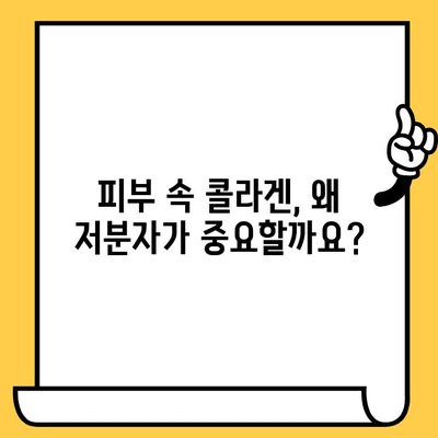 저분자 콜라겐으로 피부 건강 업그레이드하기 | 탱탱하고 촉촉한 피부, 이제 가능합니다!