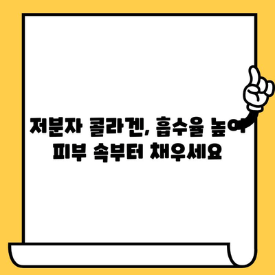 저분자 콜라겐으로 피부 건강 업그레이드하기 | 탱탱하고 촉촉한 피부, 이제 가능합니다!