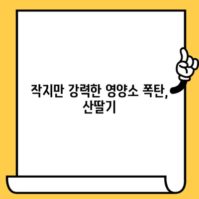 산딸기의 놀라운 힘| 피부 건강과 영양소의 비밀 | 뷰티, 건강, 슈퍼푸드, 항산화