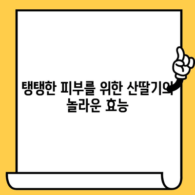 산딸기의 놀라운 힘| 피부 건강과 영양소의 비밀 | 뷰티, 건강, 슈퍼푸드, 항산화