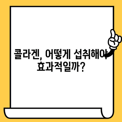 콜라겐 섭취로 피부 건강 관리| 효과적인 방법과 주의 사항 | 콜라겐, 피부 탄력, 주름 개선, 섭취 방법, 부작용